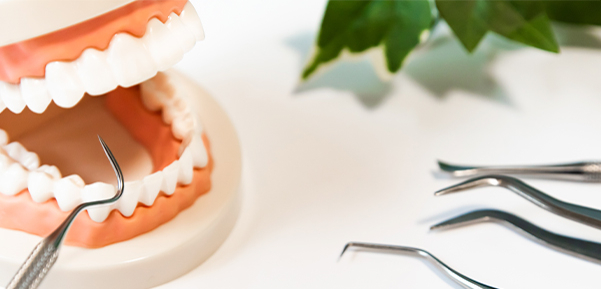 Development of Oral Care Chip, a novel device for quantitative detection of the oral microbiota associated with periodontal disease.