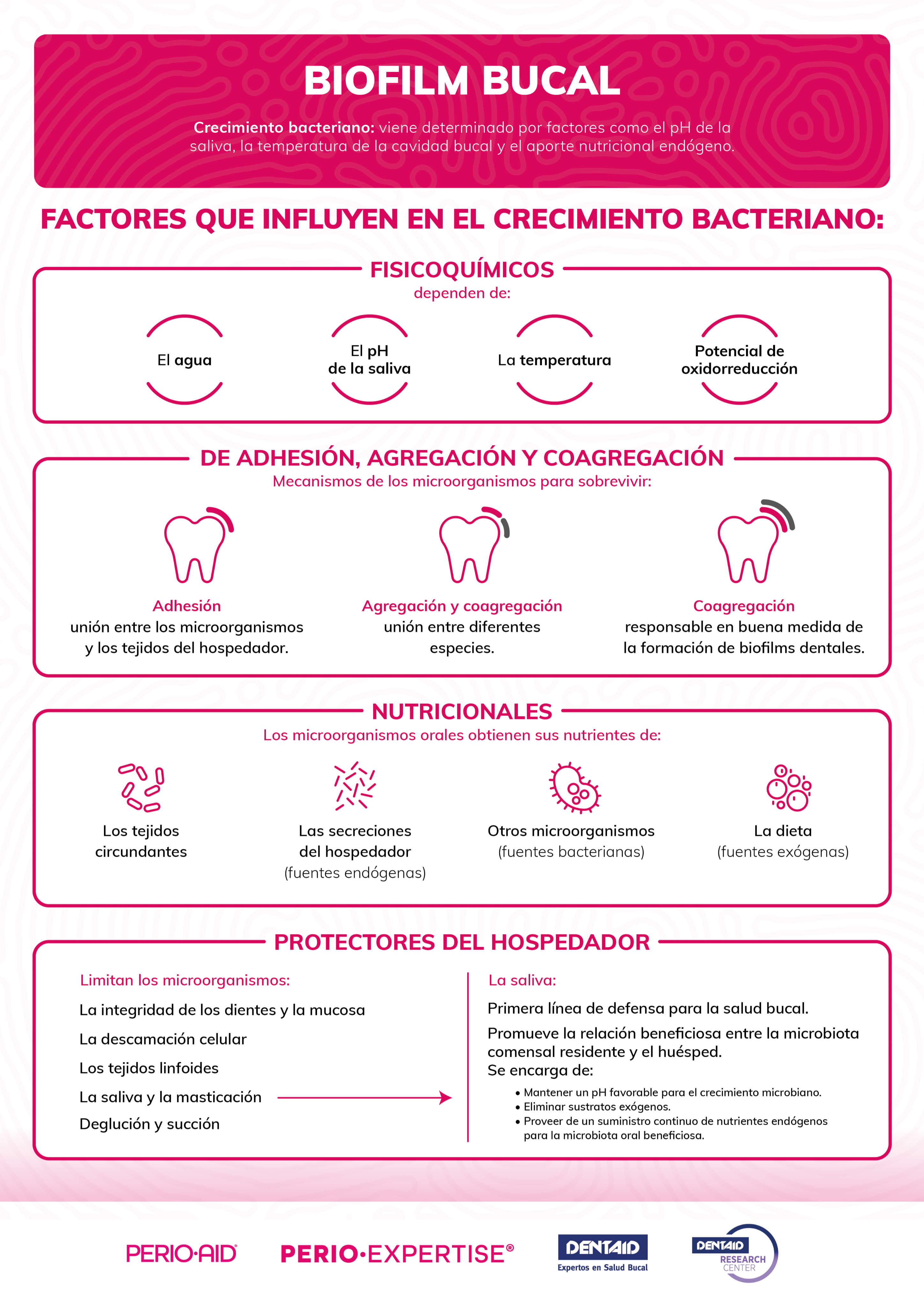 Factores orales que influyen en el crecimiento bacteriano